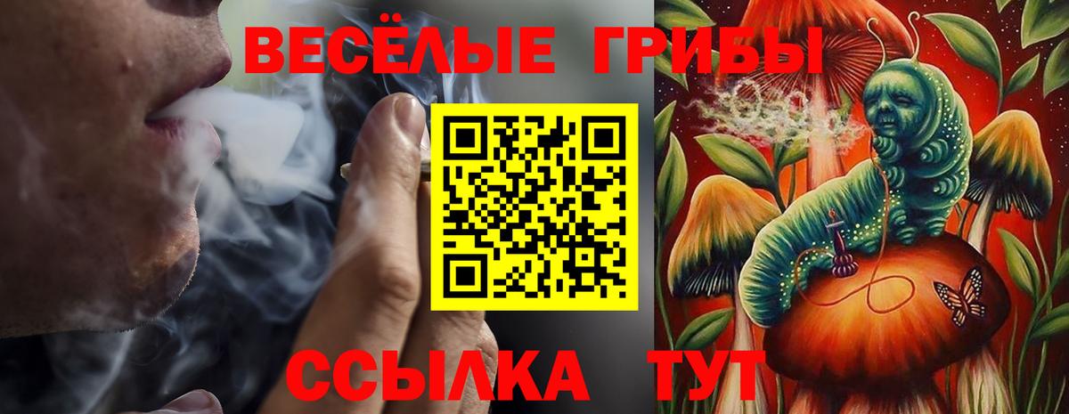 Псилоцибиновые грибы мухоморы  Вход с VPN  Кропоткин 