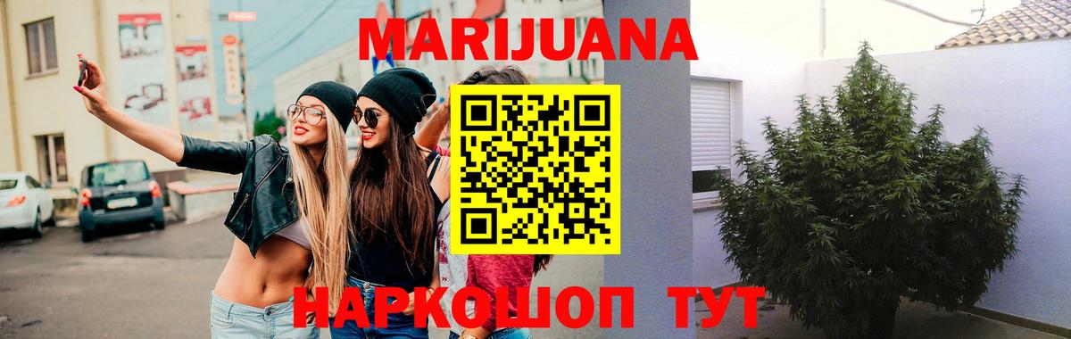 Кропоткин  Марихуана сатива  Бошки марихуана планчик  Бошки Шишки марихуана  Бошки марихуана сатива  Вход с VPN 